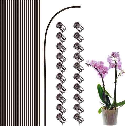 orchid stake clips|orchid support sticks and clips.